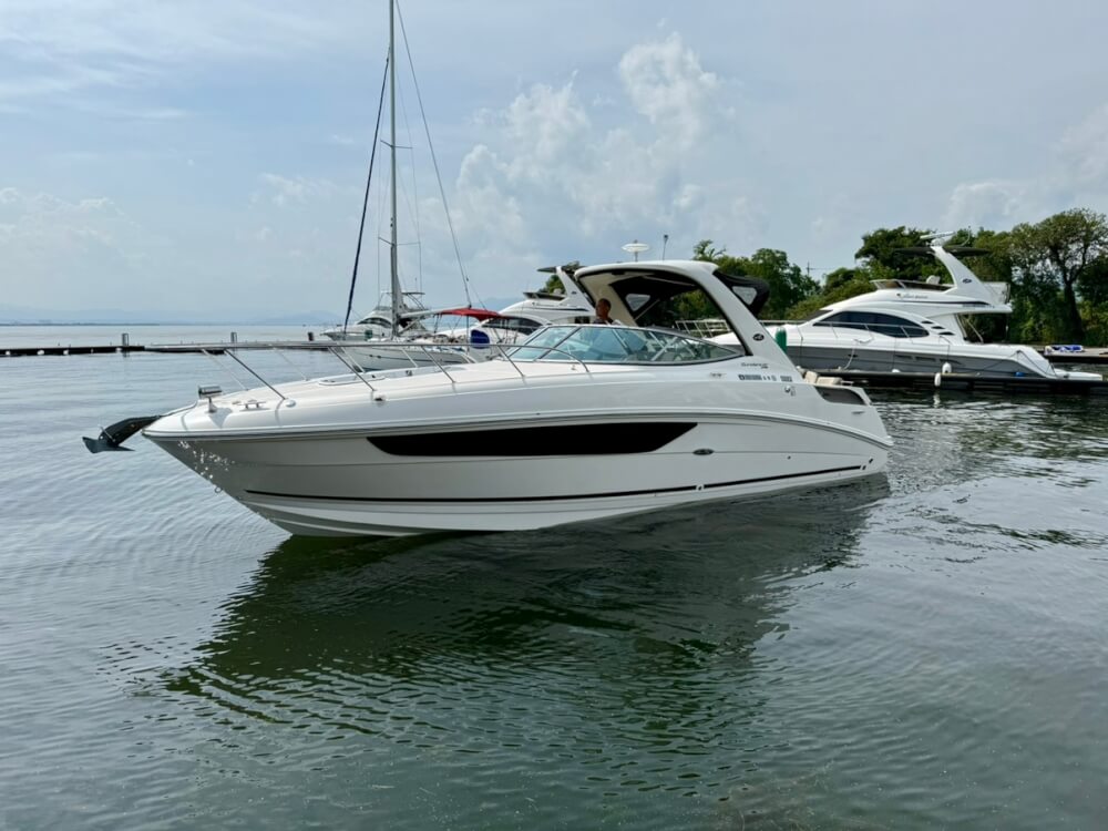 Sea Ray 310 Sundancer